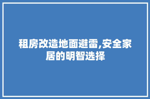 租房改造地面避雷,安全家居的明智选择 厨房维修