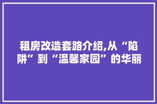 租房改造套路介绍,从“陷阱”到“温馨家园”的华丽蜕变