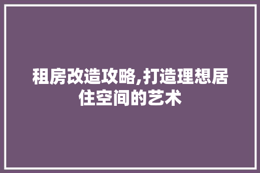 租房改造攻略,打造理想居住空间的艺术
