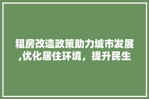 租房改造政策助力城市发展,优化居住环境，提升民生福祉 汽车维修