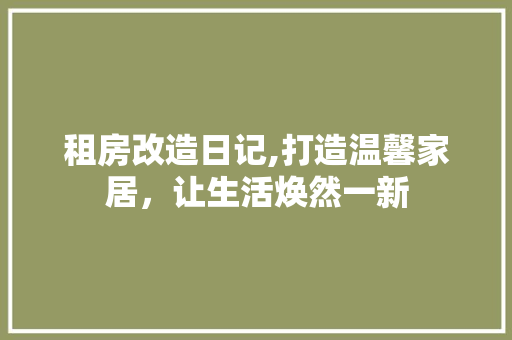 租房改造日记,打造温馨家居，让生活焕然一新