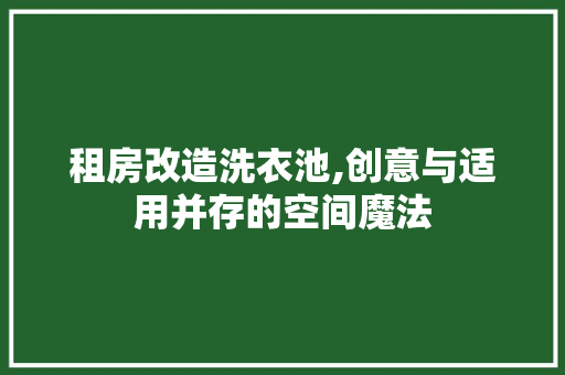 租房改造洗衣池,创意与适用并存的空间魔法