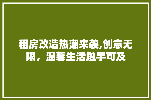 租房改造热潮来袭,创意无限，温馨生活触手可及