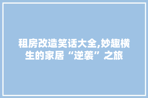 租房改造笑话大全,妙趣横生的家居“逆袭”之旅
