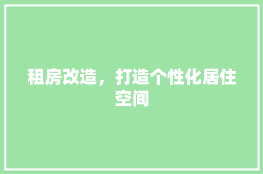 租房改造，打造个性化居住空间 家电维修