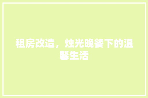 租房改造，烛光晚餐下的温馨生活