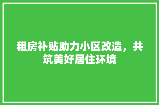 租房补贴助力小区改造，共筑美好居住环境 家电维修