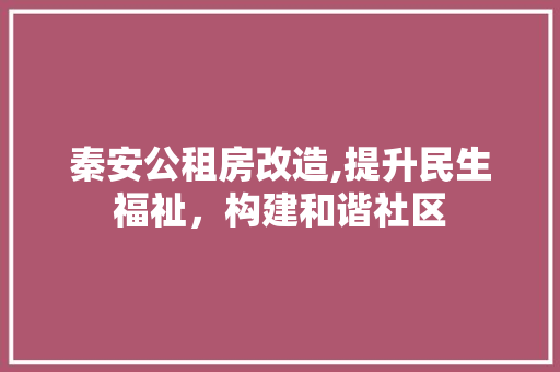 秦安公租房改造,提升民生福祉，构建和谐社区