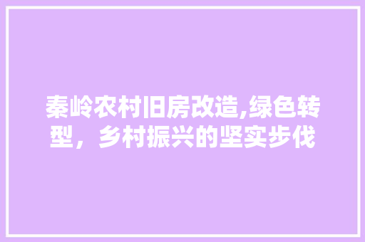 秦岭农村旧房改造,绿色转型，乡村振兴的坚实步伐