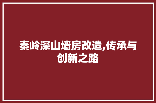 秦岭深山墙房改造,传承与创新之路