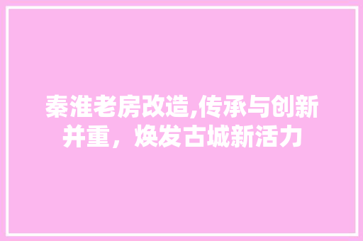 秦淮老房改造,传承与创新并重，焕发古城新活力