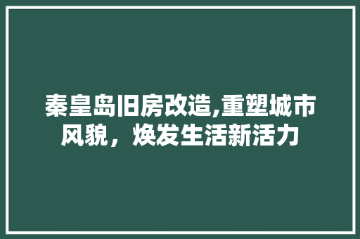 秦皇岛旧房改造,重塑城市风貌，焕发生活新活力