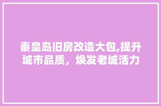 秦皇岛旧房改造大包,提升城市品质，焕发老城活力 墙体维修