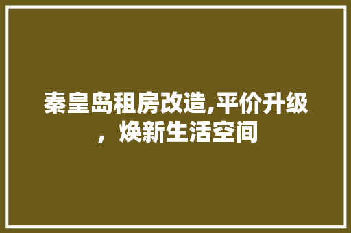 秦皇岛租房改造,平价升级，焕新生活空间 综合便民