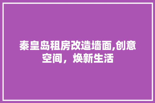 秦皇岛租房改造墙面,创意空间，焕新生活 家电维修