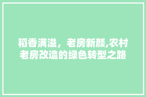 稻香满溢，老房新颜,农村老房改造的绿色转型之路