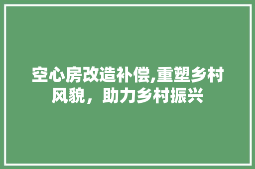 空心房改造补偿,重塑乡村风貌，助力乡村振兴