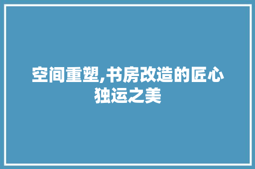 空间重塑,书房改造的匠心独运之美 厨房维修