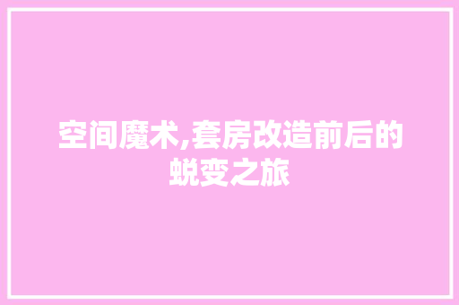空间魔术,套房改造前后的蜕变之旅