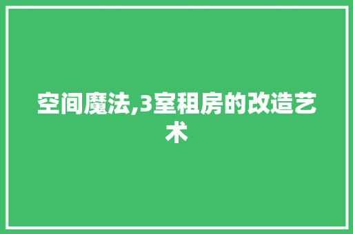 空间魔法,3室租房的改造艺术