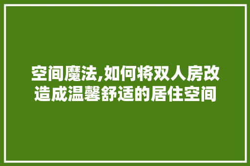空间魔法,如何将双人房改造成温馨舒适的居住空间 厨房维修