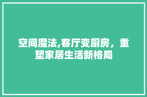 空间魔法,客厅变厨房，重塑家居生活新格局