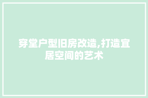 穿堂户型旧房改造,打造宜居空间的艺术