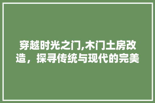 穿越时光之门,木门土房改造，探寻传统与现代的完美融合