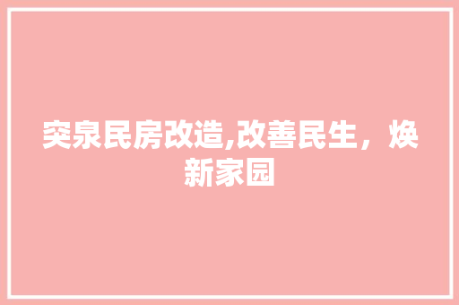 突泉民房改造,改善民生，焕新家园