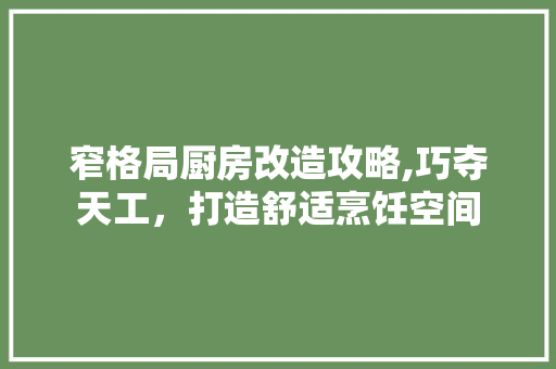 窄格局厨房改造攻略,巧夺天工，打造舒适烹饪空间