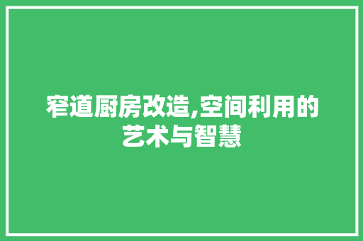 窄道厨房改造,空间利用的艺术与智慧