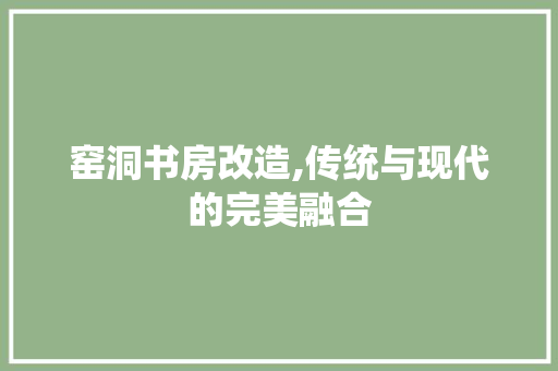 窑洞书房改造,传统与现代的完美融合 厨房维修