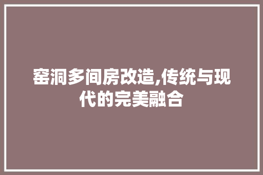 窑洞多间房改造,传统与现代的完美融合 家电维修