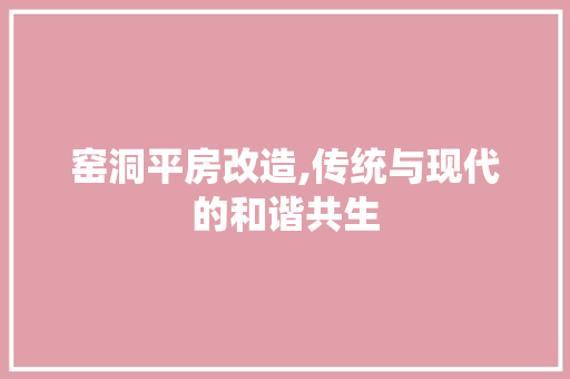 窑洞平房改造,传统与现代的和谐共生 厨房维修