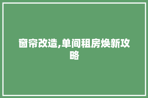 窗帘改造,单间租房焕新攻略