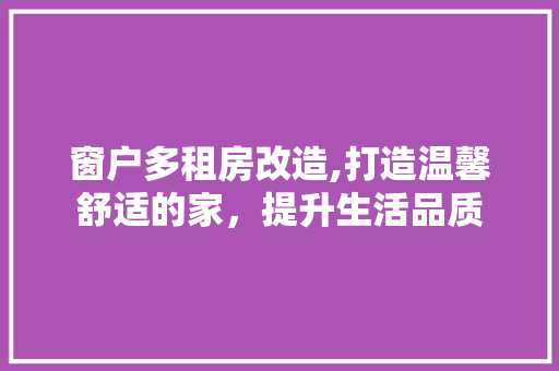 窗户多租房改造,打造温馨舒适的家，提升生活品质 厨房维修