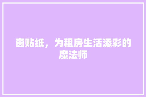 窗贴纸，为租房生活添彩的魔法师 厨房维修