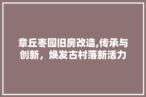 章丘枣园旧房改造,传承与创新，焕发古村落新活力