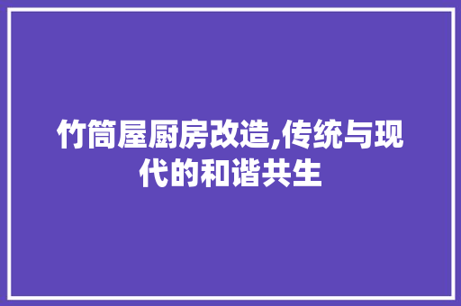 竹筒屋厨房改造,传统与现代的和谐共生