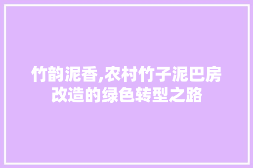 竹韵泥香,农村竹子泥巴房改造的绿色转型之路