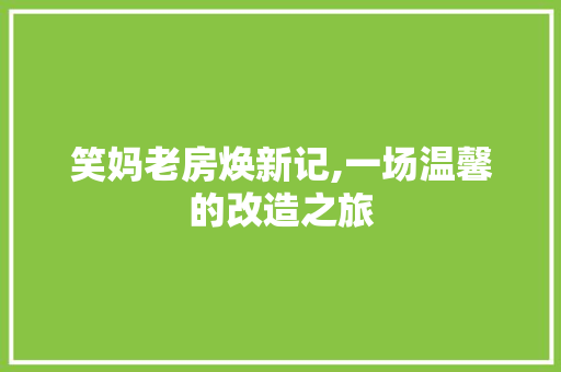 笑妈老房焕新记,一场温馨的改造之旅