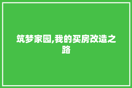 筑梦家园,我的买房改造之路 厨房维修