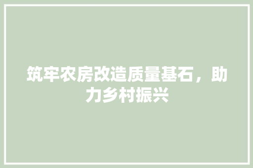 筑牢农房改造质量基石，助力乡村振兴 厨房维修