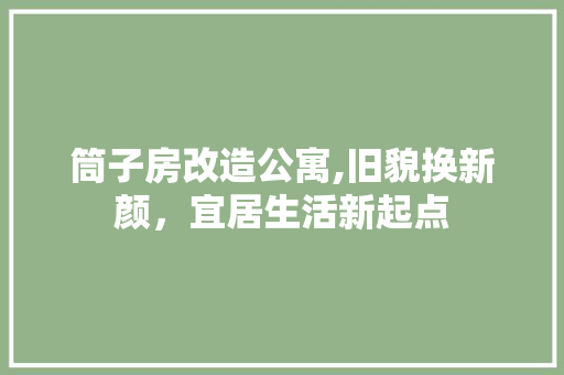筒子房改造公寓,旧貌换新颜，宜居生活新起点 综合便民