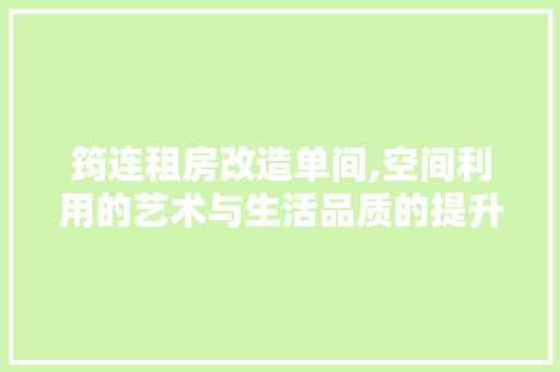 筠连租房改造单间,空间利用的艺术与生活品质的提升