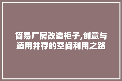 简易厂房改造柜子,创意与适用并存的空间利用之路