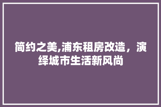 简约之美,浦东租房改造，演绎城市生活新风尚