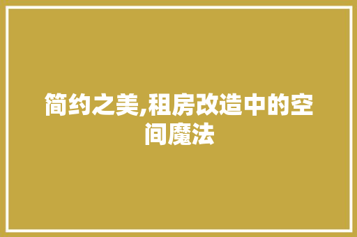 简约之美,租房改造中的空间魔法