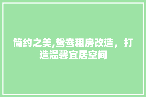 简约之美,鸳鸯租房改造，打造温馨宜居空间