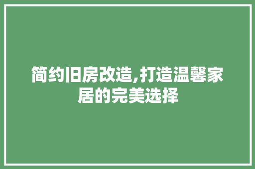 简约旧房改造,打造温馨家居的完美选择